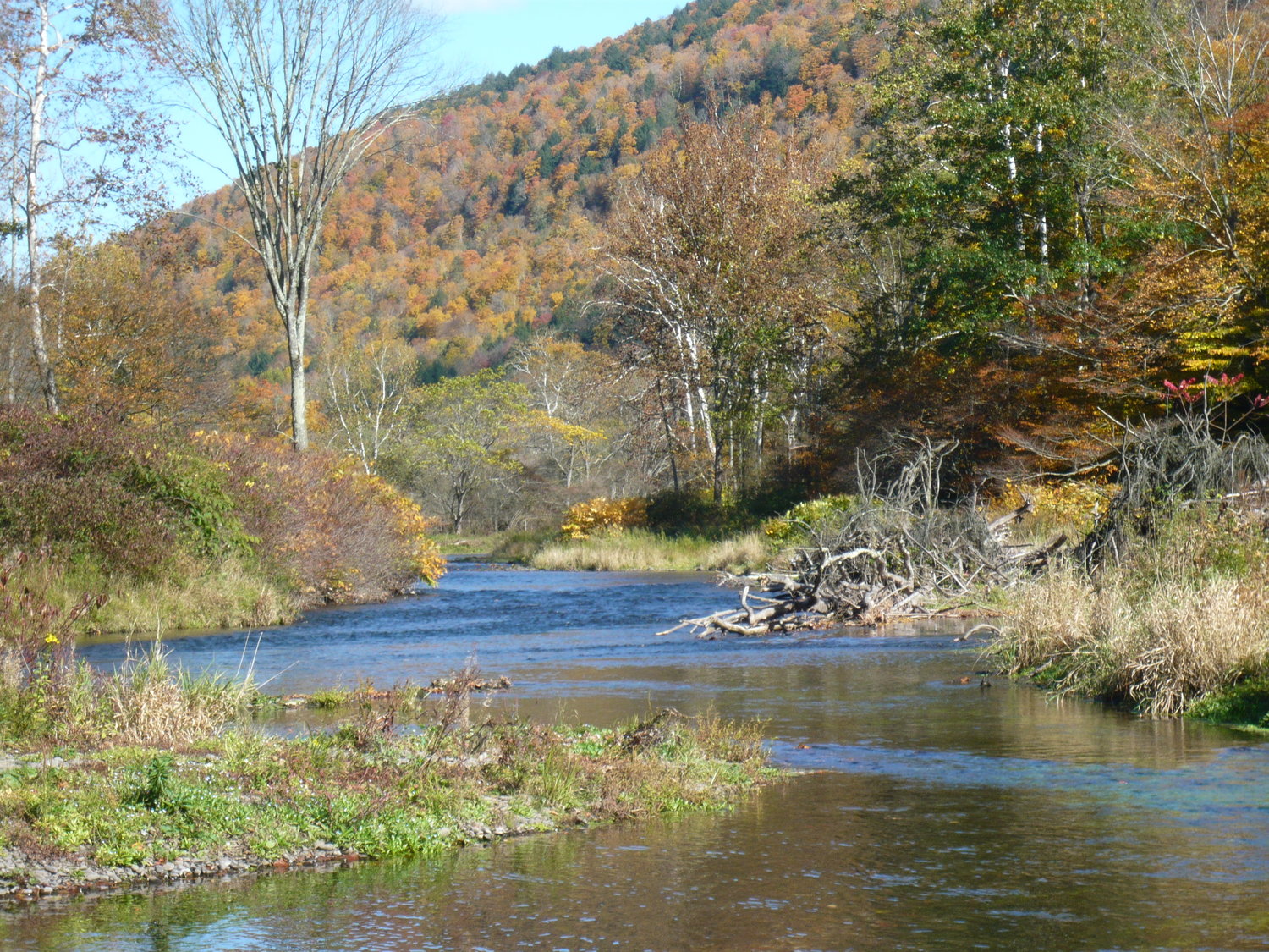 The river in fall colors.